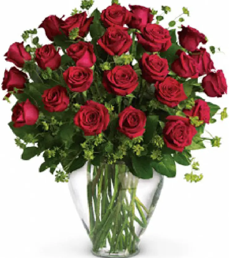 Two dozen fresh red roses