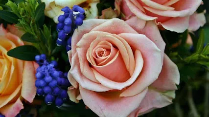 Leek & Sons Funeral Home in Urbana, IL