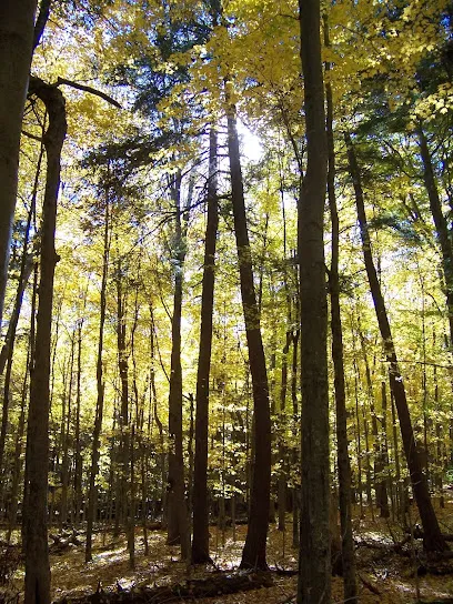 Reflections Urns & Memorials