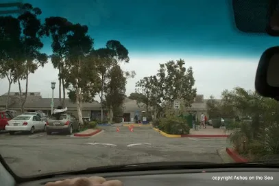 Ashes on the Sea in San Diego, CA