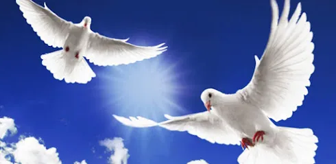 Zion Memorial Funeral Home