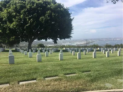 Affordable Cremation & Funeral Service in Belvidere, IL